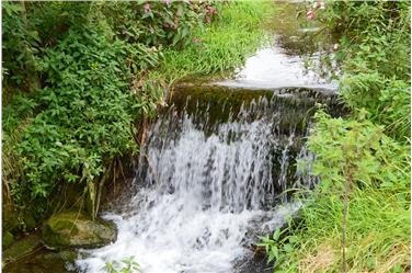 Bergbauern dürfen nur so viel Strom produzieren, wie sie selbst für die landwirtschaftliche Tätigkeit und im Haushalt verbrauchen. Foto: LPA/pixabay