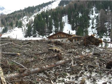 Weideflächen auf der Melager Alm nach dem Lawinenabgang. Foto: LPA/Forstinspektorat Schlanders