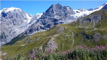 Bild von der ersten Etappe des Höhenwegs im Gebiet des Ortlers. Foto: LPA/Alessandro Di Polo