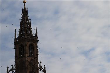 Zu Mariä Geburt (8. September), hieß es früher, flögen die Schwalben "furt"; gestern (30. September) sammelten sie sich aber erst um den Bozner Pfarrkirchturm, wohl der anhaltenden Wärme wegen. Foto: LPA/Maja Clara