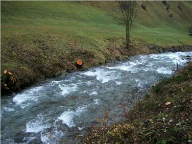 Um den Schutz vor Hochwassern zu verbessern, wurden am Jaufentalerbach Uferpflegearbeiten durchgeführt. Foto: LPA/Amt für Wildbach- und Lawinenverbauung Nord