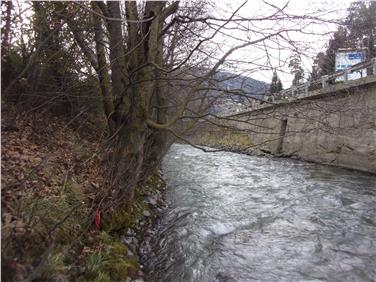 Uferpflegearbeiten sind ein wesentlicher Teil des Hochwasserschutzes; das Bild zeigt einen Abschnitt des Eisacks in Sterzing. Foto: LPA/Agentur für Wildbach- und Lawinenverbauung Nord