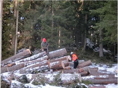 Alpiner Schutzwaldpreis Helvetia: Eine der Auszeichnungen ging an das  Projekt Schutzwaldbewirtschaftung mit Helikopterunterstützung der Eigenverwaltung Bürgerlicher Nutzungsrechte von Kematen in der Gemeinde Sand in Taufers. Forstinsp. Sand