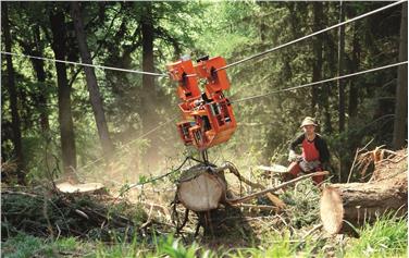 Eine effizientere und nachhaltigere Holzernte und Erstverarbeitung des Holzes - im Bild ein Laufwagen - wird durch eine Maßnahme des EU-Entwicklungsprogramms für den ländlichen Raum gefördert. Foto: LPA/Amt für Bergwirtschaft