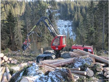 37 Prozent der Holzernteverfahren in den Windwurfflächen wurden mit Harvester (Bild) durchgeführt, am höchsten war der Anteil mit 62 Prozent im Forstinspektorat Bozen 2, im FI Bozen 1 waren es 55 Prozent, in Welsberg 44. Amt Forstplanung