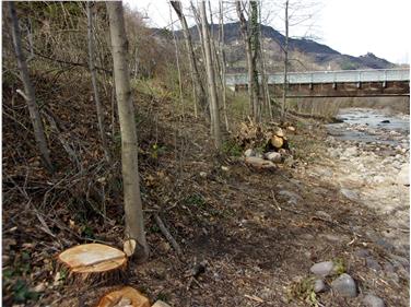 Um den Schutz vor Hochwasser zu erhöhen, werden derzeit entlang der Talfer in Bozen wieder Uferpflegemaßnahmen durchgeführt. Foto: LPA/Amt für Wildbach- und Lawinenverbauung Nord