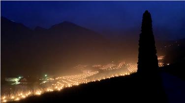 In vielen Weingärten brannten vergangene Nacht Frostschutzkerzen - Foto: LPA/Gnews