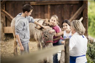 Bei der Weiterentwicklung der Sozialen Landwirtschaft wird der Landesbeirat eine wichtige Rolle spielen, den die Landesregierung gestern ernannt hat - Foto: LPA/Bäuerinnenorganisation/Andergassen