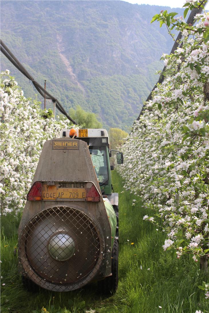 Nachhaltiger Pflanzenschutz (Foto: Beratungsring für Obst- und Weinbau)