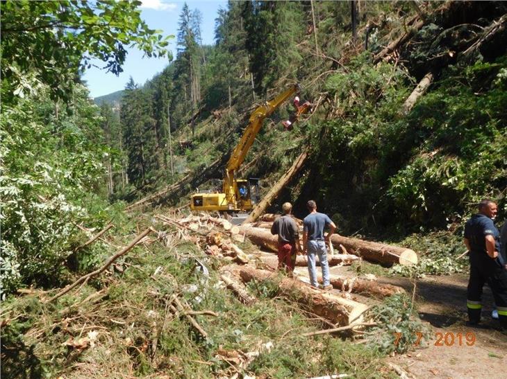 Die Säuberungs- und Sicherungsarbeiten auf der Straße auf das Lavazéjoch laufen (FOTO: LPA)