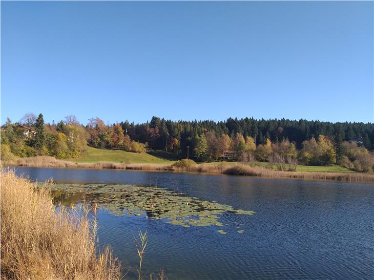 Ausklang eines außerordentlich milden Monats, festgehalten am Sonntag, dem 27. Oktober, am Fennberger See auf 1034 Metern Meereshöhe. (Foto: LPA/Maja Clara)