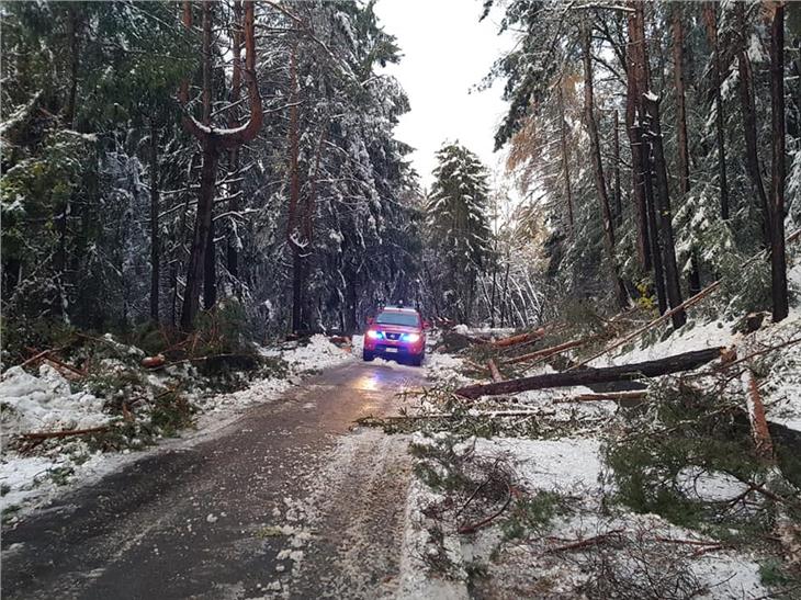 Umgestürzte Bäume - im Bild die Landesstraße von Seis nach Völs - führen zu Behinderungen im Straßenverkehr. (Foto: LPA/Landesverband der Freiwilligen Feuerwehren)