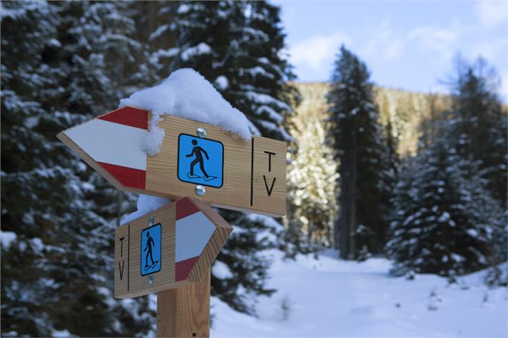 Ein Artikel im Entwurf zum Omnibusgesetz sieht Vereinfachungen in der Organisation des Tourismussektors vor. (Foto: IDM/Frieder Blickle)