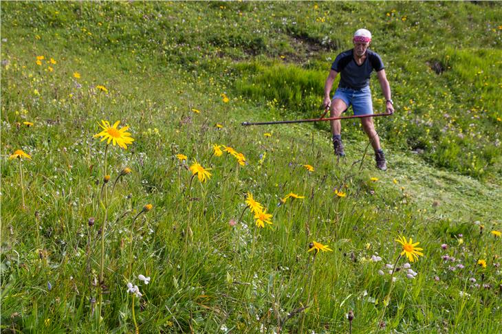 Für das Management von Natura 2000 sind in den kommenden sieben Jahren insgesamt 66,5 Millionen Euro nötig. (Foto: LPA/Josef Hackhofer)