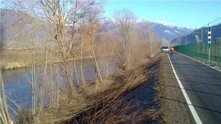 Mit der Uferpflege sollen der Hochwasserschutz gesichert und ein vielfältiger Lebensraum für Pflanzen und Tiere geschaffen werden. (Foto: LPA/Landesamt für Wildbach- und Lawinenverbauung Süd)