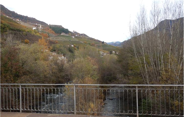 Um den Hochwasserschutz zu verbessern, wird die Vegetation an den Ufern und auf den Inseln in der Talfer nach einem mehrjährigen Plan des Funktionsbereichs Wildbachverbauung gepflegt. (Foto: LPA/Landesamt für Wildbach- und Lawinenverbauung Nord)