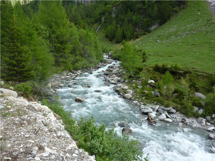 Pfitscher Bach im Bereich des Talschlusses, Abschnitt mit natürlicher Wasserführung. (Foto: Landesagentur für Umwelt und Klimaschutz)