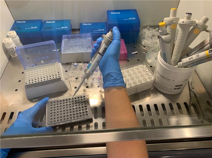 Die Gesamtzahl der vom Labor für Mikrobiologie und Virologie des Südtiroler Sanitätsbetriebes untersuchten Abstriche von 4507 Personen beläuft sich nun auf 7067. (Foto: Sabes)
