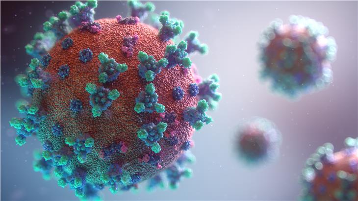 Aktuelle Zahlen zum Coronavirus hat der Sanitätsbetrieb auch am heutigen Ostermonatg bekanntgegeben. (Foto: Fusion Medical Animation/Unsplash)