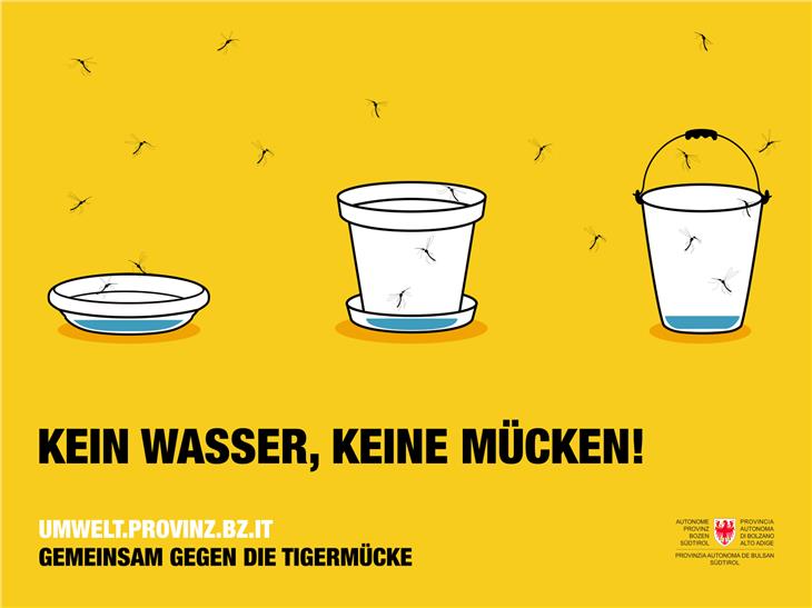 "Kein Wasser, keine Mücken! Gemeinsam gegen die Tigermücke" heißt die neue Vorsorge-Kampagne der Landesagentur für Umwelt und Klimaschutz. (Foto: Landesagentur für Umwelt und Klimaschutz/FrabiatoFilm)