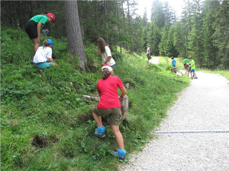 Südtirols Naturparkhäuser werden in diesem Covid-19-Sommer ihre Türen den einheimischen Jugendlichen öffnen. (Foto: LPA)