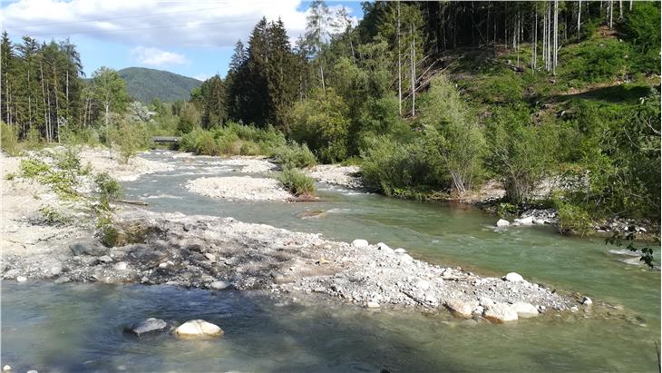 Das neu strukturierte Bachbett der Rienz bei Percha. (Foto: LPA/Agentur für Bevölkerungsschutz)