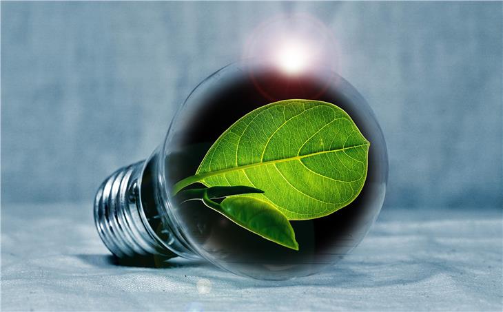 Die Natur in der Glühbirne: Ein Symbol für Neu-Denken, das gerade nach der Coronakrise hilfreich ist. Der Euregio-Innovationspreis sucht entsprechende Ideen. (Foto: pixabay.com)