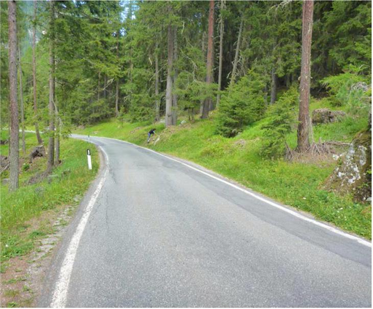 Die Landesstraße in Martell soll durch einen Damm besser vor Lawinen geschützt werden. (Foto: Landesabteilung Tiefbau)