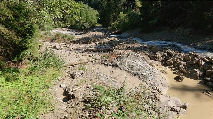 Grundlegende Schutzfunktion: In diesem oberen Rückhaltebecken des Tschenglserbaches wurde nach dem gestrigen Starkregen Geschiebematerial zurückgehalten. (Foto: Landesamt für Wildbach- und Lawinenverbauung West)