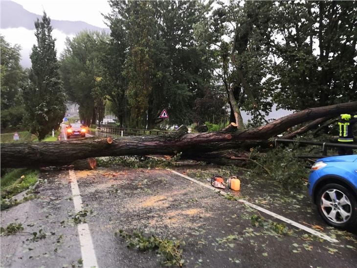 Umgestürzte Bäume blockierten bei den Unwettern am Wochenende zahlreiche Straßen, so auch in Lana. (Foto: Landesverband der Freiwilligen Feuerwehren Südtirols)