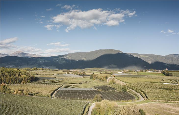 Obstbau in Südtirol: In der Auseinandersetzung mit Schiebl, Umweltinstitut München und oekom-Verlag will der Landwirtschaftslandesrat zum konstruktiven Dialog zurückkehren. (Foto: IDM/Manuel Kottersteger)