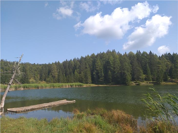 "Der Sommer war sehr groß": Goldener Herbst, eingefangen am Felixer Weiher am Deutschnonsberg am 13. September (Foto: LPA/Maja Clara)