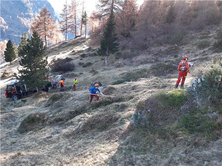 Mit Motorsäge, Motormäher, Astschere und Rechen packten die Landwirtschaftsschüler und -schülerinnen auf einer aufgelassenen Wiese oberhalb von Rein in Taufers im Naturpark Rieserferner-Ahrn an. (Foto: LPA/Landesamt für Natur)