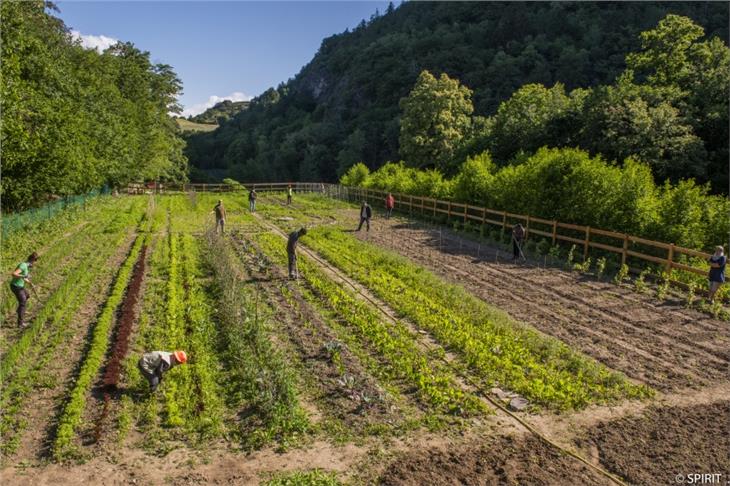 Erntezeit im Soul Garden: Das Berufsbildungsprojekt für Menschen mit Migrations- oder Fluchthintergrund ist heute in Meran mit der Diplomverleihung beendet worden (Foto: Sozialgenossenschaft Spirit)