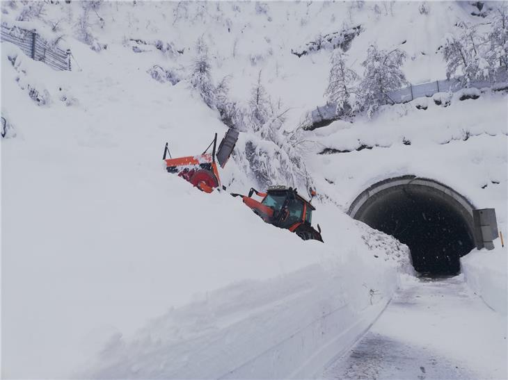 Gewaltige Schneemassen gibt es in diesen Tagen zu beseitigen, um die Straßen wieder befahrbar zu bekommen: Der Landesstraßendienst im Einsatz beim Tunnel zwischen dem Ultental und Proveis. (Foto: Landesstraßendienst)