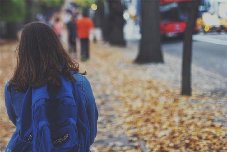 Die Landesregierung hat die technische Verlängerung des Schülersondertransportes für 2020/2021 beschlossen. (Foto: Pixabay)