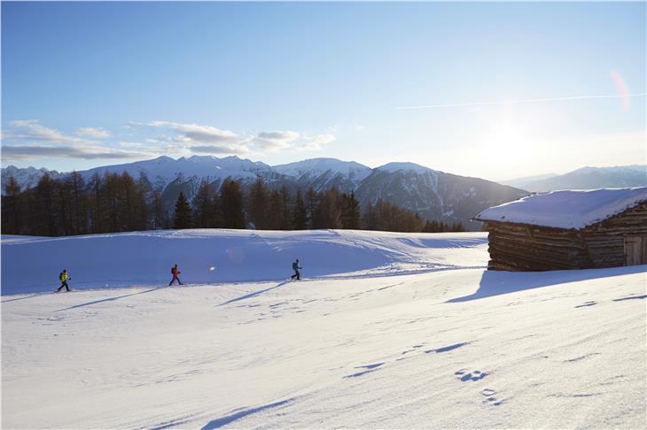 Vor allem auf Wegen und Betrieben, die zu Fuß, mit Schneeschuhen oder Tourenskiern erreichbar sind, wird das Landesforstkorps die Einhaltung der Corona-Regeln kontrollieren. (Foto: Stefan Schütz)