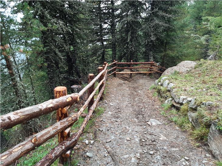 Steiginstandhaltung am Weg zur Kofleralm in Rein im Naturpark Rieserferner-Ahrn: In Instandhaltungs- und Sicherungsmaßnahmen wie diese fließt ein wichtiger Teil des Jahresbudgets der Südtiroler Naturparke.  (Foto: Landesamt für Natur)