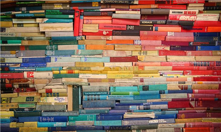 Das diesjährige Bibliotheksforum 2021 war die Auftaktveranstaltung für landesweite Leseförderinitiative im Herbst. (Foto: Unsplash)