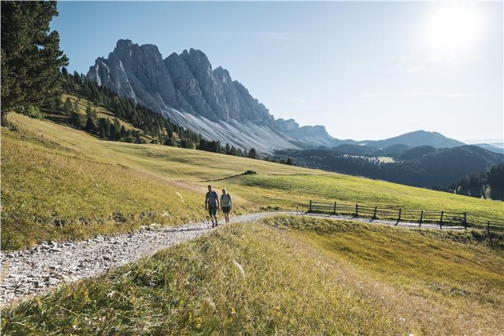 Südtirol freue sich, wieder Urlaubsgäste in Sicherheit empfangen zu können, so LR Arnold Schuler. (Foto: IDM/Alex Moling)