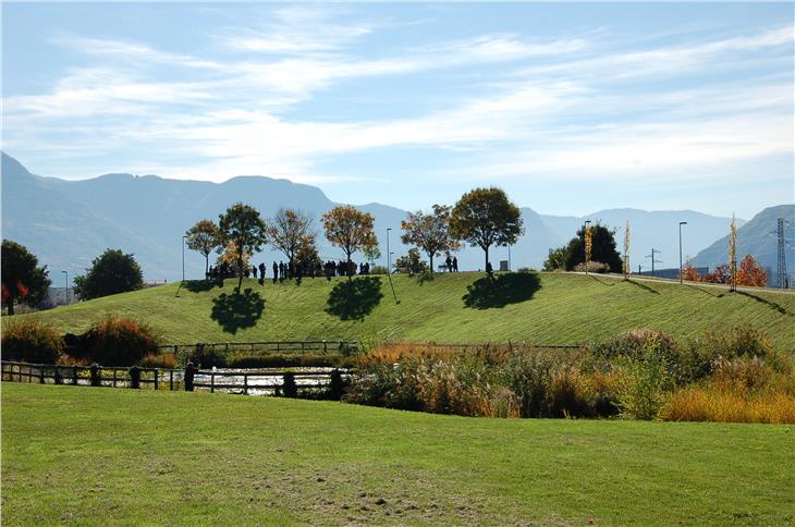 Der Hügel der Weisen im Bozner Stadtbereich Firmian (Foto: Gemeinde Bozen)