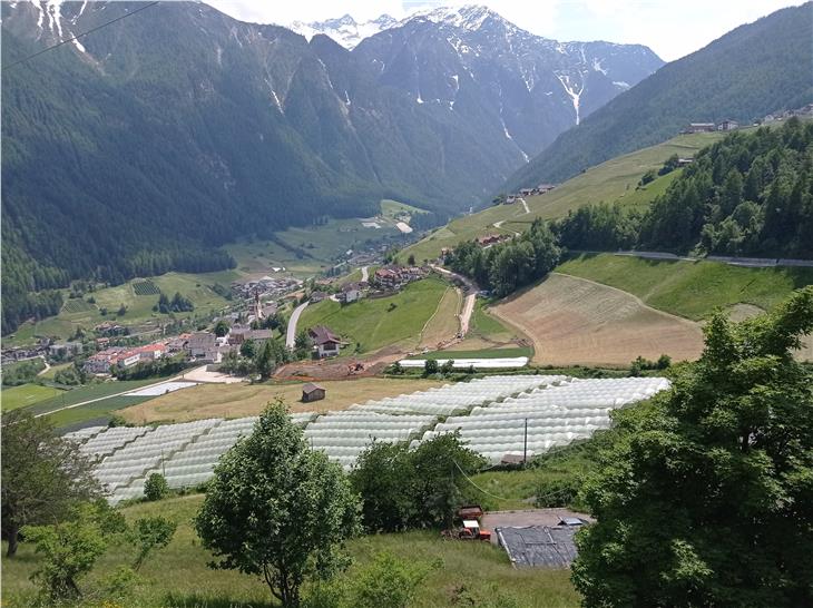 Das Amt für Wildbach- und Lawinenverbauung West hat mit der Errichtung eines 170 Meter langen und 10 Meter hohen Lawinenschutzdammes begonnen, der den Schutz in der Gemeinde Martell erhöht. (Foto: Amt Wildbachverbauung West)