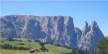 Naturpark Schlern-Rosengarten