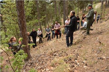 Ziel des Projektes ist es, einen Leitfaden zu definieren, um den Wald-Wild-Lebensraum einer nachhaltigen Entwicklung zuzuführen; das Bild zeigt die Teilnehmer während der Exkursion. Foto: LPA/Forstinspektorat Schlanders/Georg Pircher