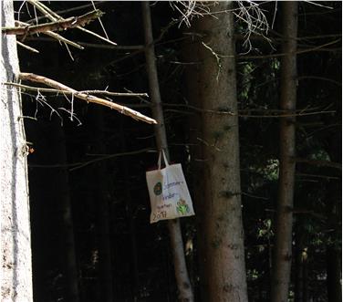 4 Wochen war der Sarner Sommerkindergarten geöffnet, jetzt bietet die Sozialgenossenschaft Profital zwei Wochen im Wald an.