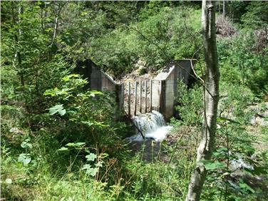 Eines der drei geräumten Rückhaltebecken am Pufler Bach. Foto: LPA/Amt für Wildbach- und Lawinenverbauung Nord