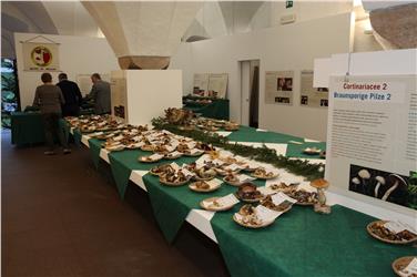 Gestern Abend wurde die diesjährige Pilze-Ausstellung im Naturmuseum in Bozen eröffnet - Foto: LPA/Landesmuseen