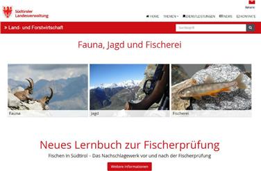 Ein Screenshot der neuen Webseite.