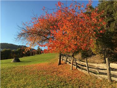 Goldender Herbst: Der heute ausklingende Monat war ausnehmend trocken und sonnig. Im Bild festgehalten in Jenesien. Foto: LPA/Monika Plattner