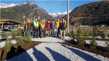 Nach Ideen der Laimburger Fachschüler wurde ein Kreisverkehr in Sterzing neu gestaltet - Foto: Fachschule Laimburg